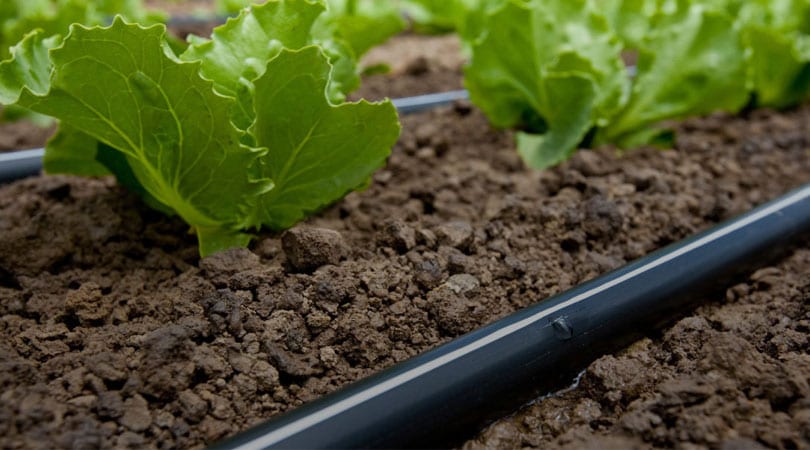 drip irrigation systems