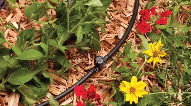 Drip Irrigation System