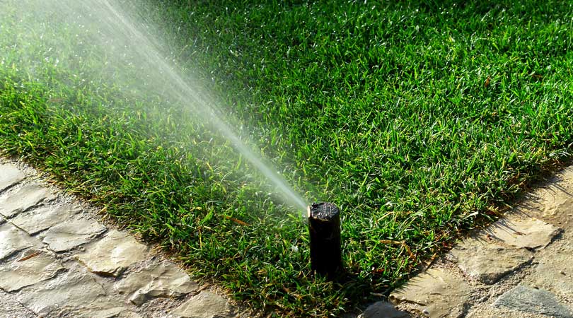 How to Install a Home Lawn Sprinkler System?