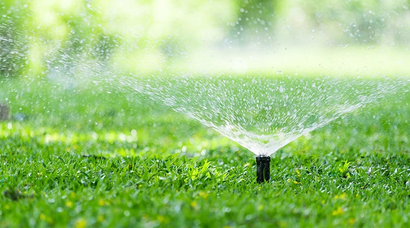 What Is Irrigation And Why Is It Important? (The Complete Definition) -