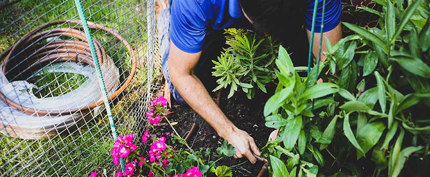 Installing-A-Drip-Irrigation-System