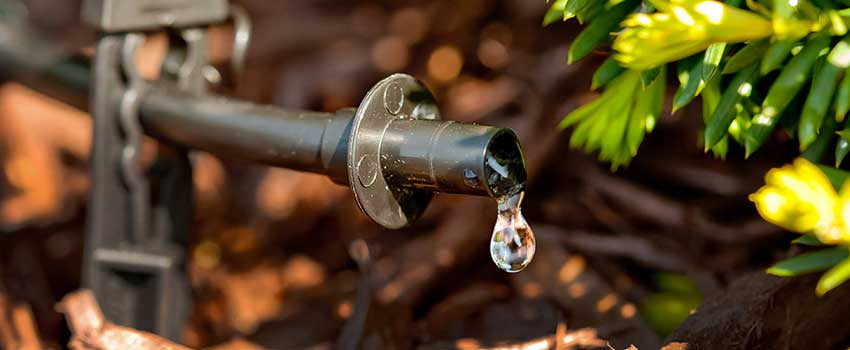 Rainbird Drip Irrigation