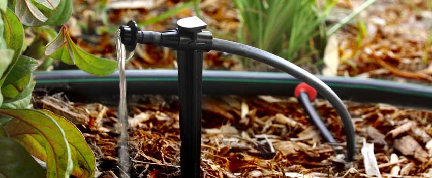 Rainbird Drip Irrigation