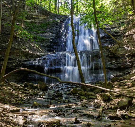 hamilton niagara ontario park