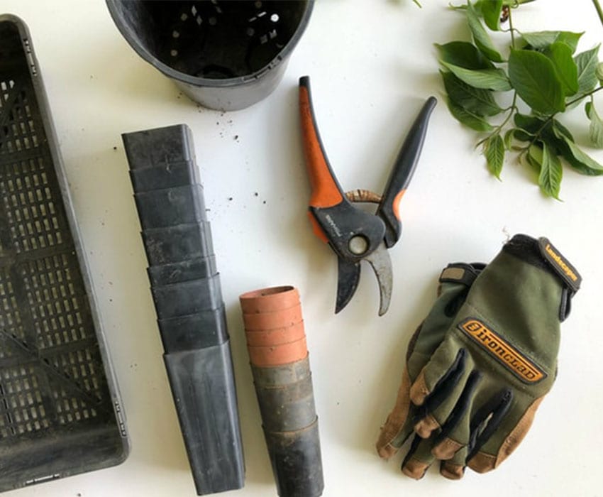 gardening tools