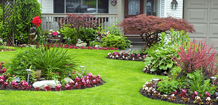 front yard landscaping and garden ideas