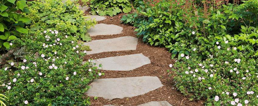 front yard garden path