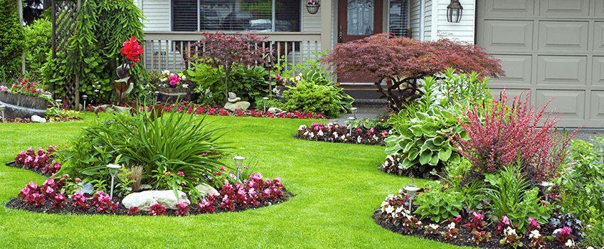 front yard landscaping and garden ideas