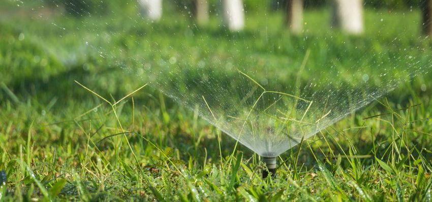 Sprinkler Watering