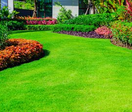 Sustainable Landscaping Ideas For An Eco-Friendly Lawn
