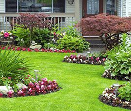 Landscaping and Garden Ideas to Improve Your Front Yard