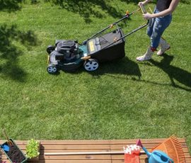 Whose Responsibility Is It, Anyway? Lawn Maintenance in a Rental