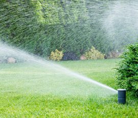 Irrigation Systems Are More Affordable Than You Think, Here’s Why!