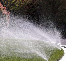 Drip vs. Sprinkler System: Key Differences Between a Drip Irrigation System and Sprinkler Irrigation System