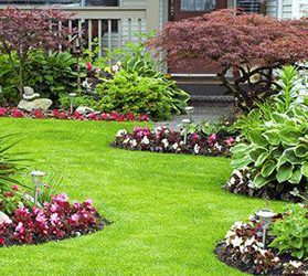 Landscaping and Garden Ideas To Improve Your Front Yard
