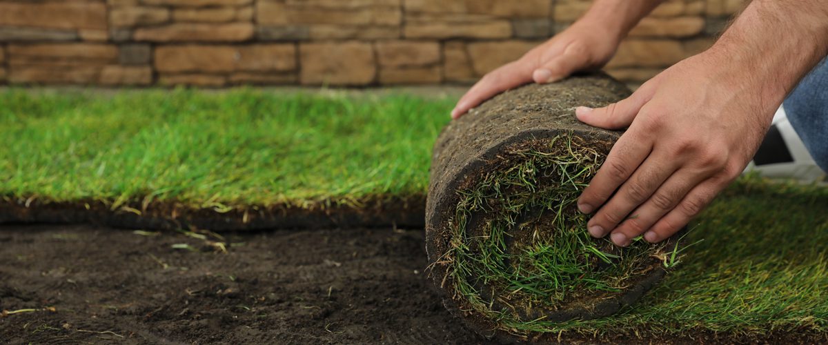 Sod maintenance deals