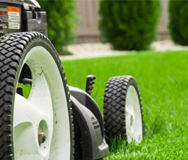 13 Best Lawn Care Blogs On The Internet