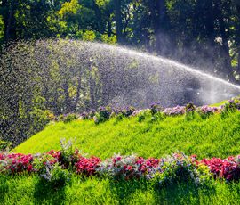 6 Questions You Should Ask Before Investing In An Irrigation System