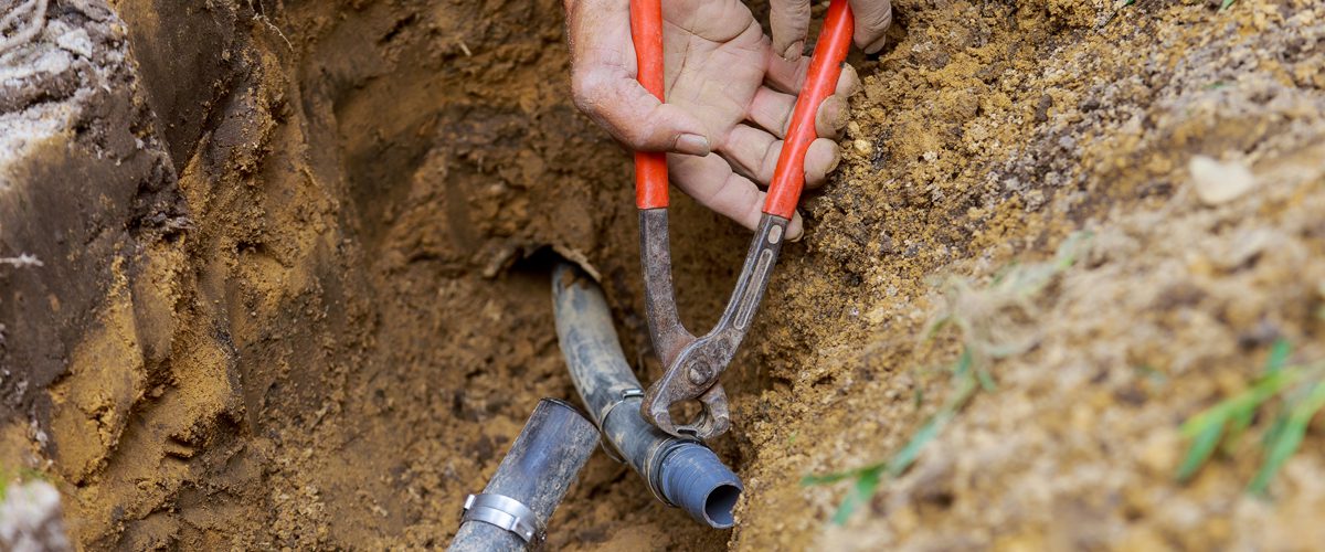 Install an irrigation system