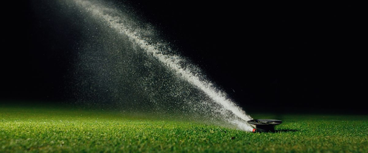 Busted Why Watering Grass at Night Is a Myth and When to Water