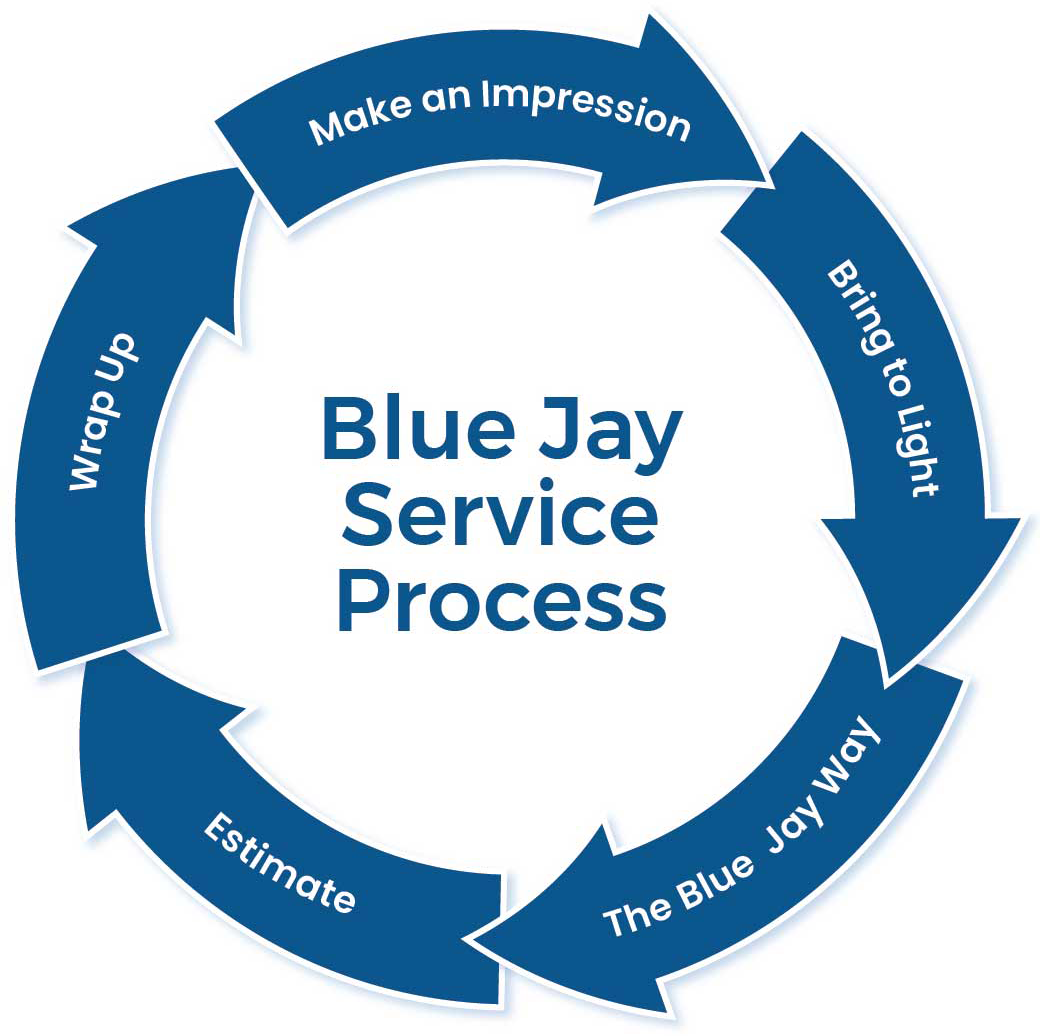 Blue Jay Service Process