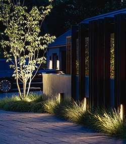 Landscape Lighting in Tree and Grass